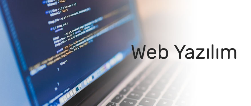 Özel Web Yazılım